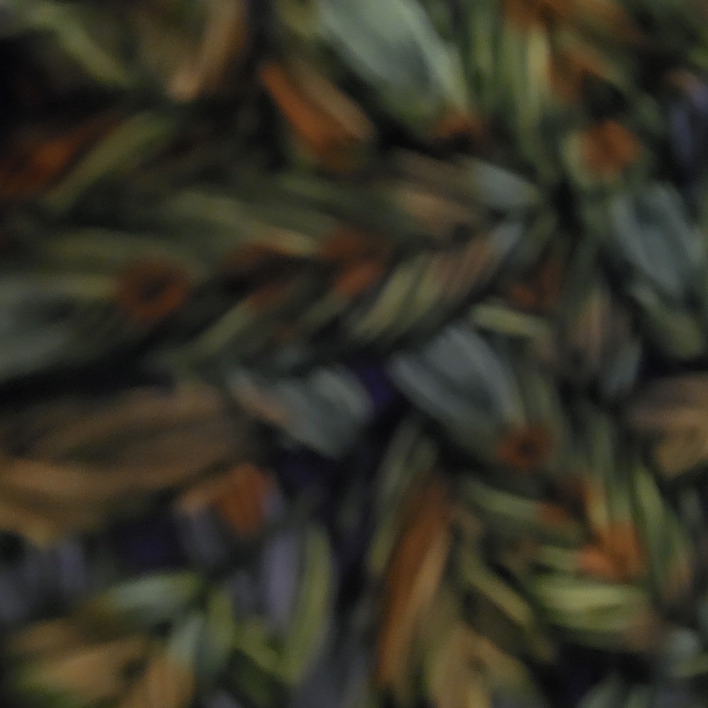 Lularoe TC LEGGINGS NEW